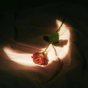 男男做爱无码网站
